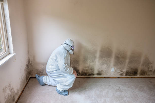 Best Mold Testing  in Flora Vista, NM